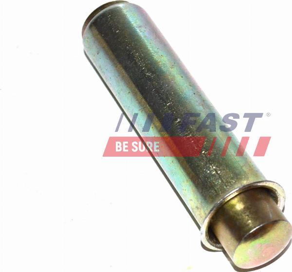 Fast FT44081 - Rola intinzator,curea distributie - allinparts.ro