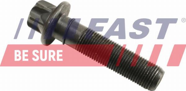Fast FT45901 - Surub fulie allinparts.ro