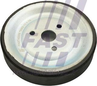 Fast FT45568 - Fulie, pompa apa allinparts.ro