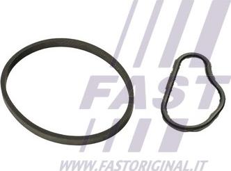 Fast FT48943 - Garnitura, pompa vacuum allinparts.ro