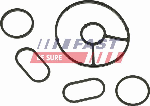 Fast FT48931 - Etansare, racire ulei - allinparts.ro