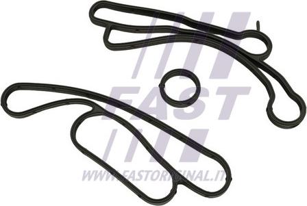 Fast FT48938 - Etansare, racire ulei - allinparts.ro