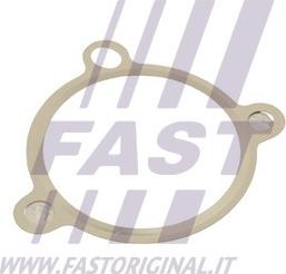 Fast FT50605 - Garnitura, ventil AGR allinparts.ro