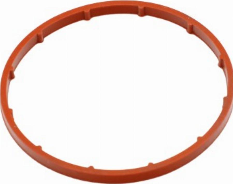 Fast FT50701 - Garnitura, pompa vacuum allinparts.ro