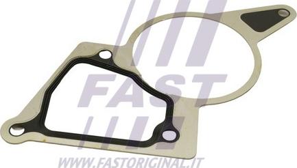 Fast FT50703 - Garnitura, pompa vacuum allinparts.ro