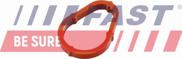 Fast FT50702 - Garnitura, pompa vacuum allinparts.ro