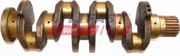 Fast FT51720 - Arbore cotit - allinparts.ro