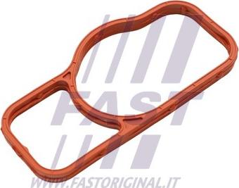 Fast FT57402 - Garnitura, pompa de apa - allinparts.ro