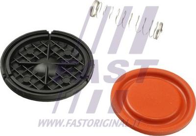 Fast FT60105 - Membrana, aerisire carcasa arbore cotit allinparts.ro
