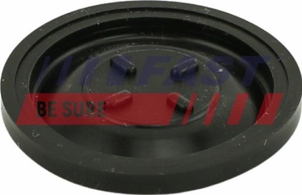 Fast FT60101 - Membrana, aerisire carcasa arbore cotit - allinparts.ro