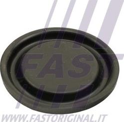 Fast FT60102 - Membrana, aerisire carcasa arbore cotit - allinparts.ro