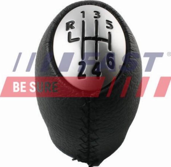 Fast FT09038 - Maciulie maneta schimbat.vit. allinparts.ro