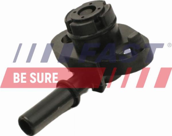 Fast FT00219 - Pompa vacuum,sistem de franare allinparts.ro