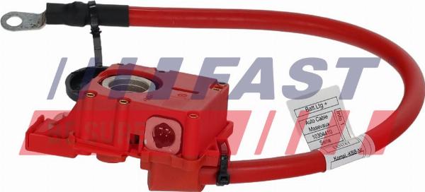 Fast FT01786 - Adaptor acumulator - allinparts.ro
