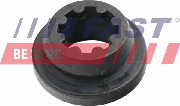 Fast FT14001 - Limitator, acoperire motor - allinparts.ro