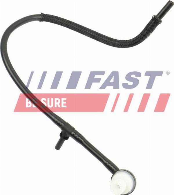 Fast FT10712 - Furtun vacuum, servofrana - allinparts.ro