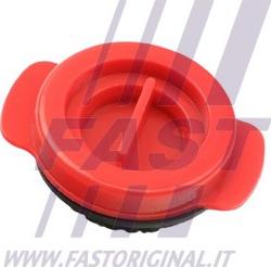 Fast FT38802 - Etansare, pompa ulei - allinparts.ro