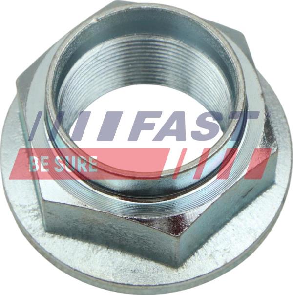 Fast FT26033 - Piulita ax, planetara allinparts.ro