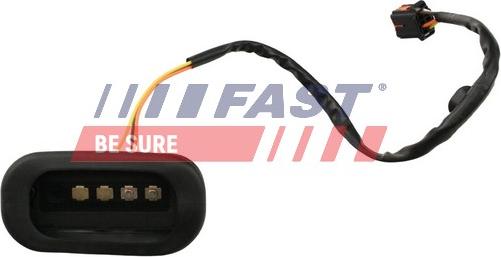 Fast FT76304 - Comutator, contact portiera - allinparts.ro