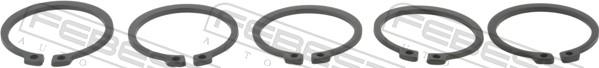 Febest CC-4-48X2-PCS5 - Chit montaj,burduf planetara allinparts.ro