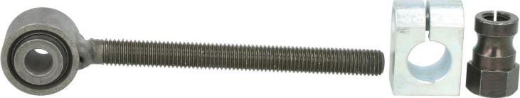 FEBI Bilstein 08758 - Intinzator curea, curea distributie allinparts.ro