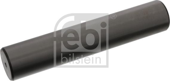 FEBI Bilstein 19164 - Pivot allinparts.ro