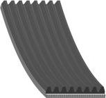 FEBI Bilstein 101065 - Curea transmisie cu caneluri allinparts.ro