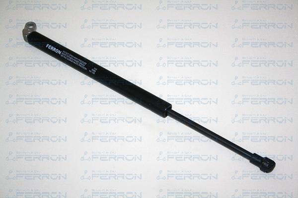 FERRON 310 - Amortizor portbagaj allinparts.ro