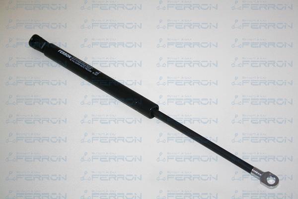 FERRON 79 - Amortizor portbagaj - allinparts.ro