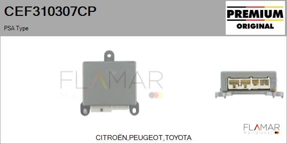 FLAMAR CEF310307CP - Unitate de control,servodirectie allinparts.ro