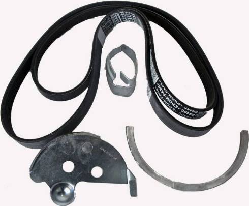 FORD 1708273 - FORD 1708273 - Curea transmisie cu caneluri allinparts.ro