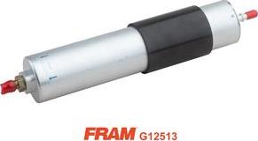 FRAM G12513 - Filtru combustibil - allinparts.ro