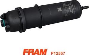 FRAM P12557 - Filtru combustibil allinparts.ro