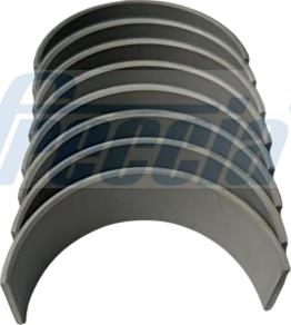 Freccia CR19-101600 - Set lagar biela - allinparts.ro