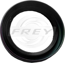 FREY 895500701 - Simering, arbore cotit - allinparts.ro