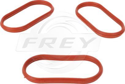 FREY 800601104 - Garnitura, galerie admisie - allinparts.ro