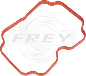 FREY 800603201 - Garnitura, galerie admisie - allinparts.ro