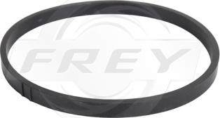 FREY 800602801 - Garnitura, galerie admisie - allinparts.ro