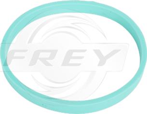 FREY 800602701 - Garnitura, galerie admisie - allinparts.ro