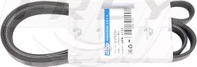 FREY 821609001 - Curea transmisie cu caneluri - allinparts.ro