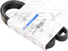 FREY 821607201 - Curea transmisie cu caneluri - allinparts.ro