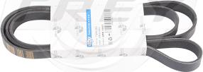 FREY 721605501 - Curea transmisie cu caneluri - allinparts.ro