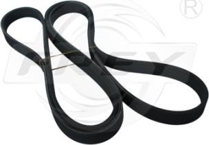 FREY 721617001 - Curea transmisie cu caneluri allinparts.ro