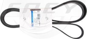 FREY 721601713 - Curea transmisie cu caneluri - allinparts.ro