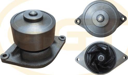 GGT PA13450 - Pompa apa allinparts.ro