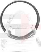 GH GH-493763 - Inel senzor, ABS - allinparts.ro