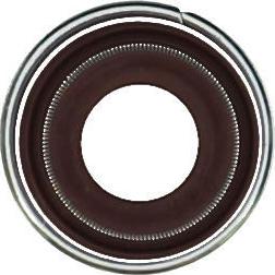Glaser P76849-00 - Etansare, supape allinparts.ro