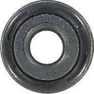 Glaser P76879-00 - Etansare, supape allinparts.ro
