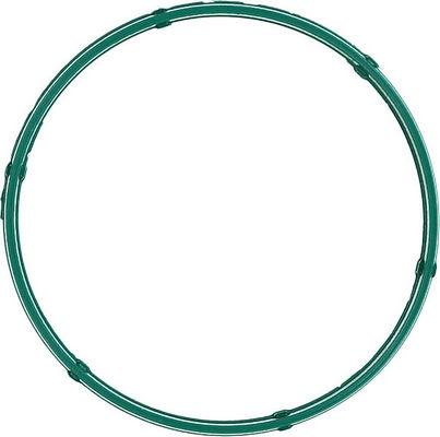 Glaser X90394-01 - Garnitura, Carcasa galerie admisie - allinparts.ro