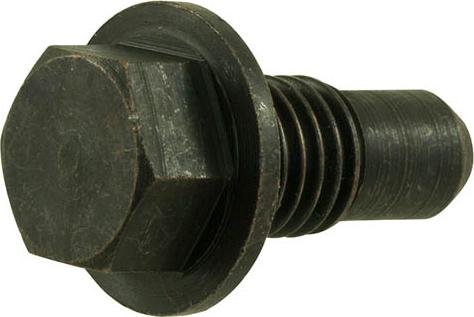 HO AUTOPARTES HO748 - Surub de golire,baia de ulei - allinparts.ro